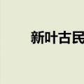 新叶古民居（关于新叶古民居简介）