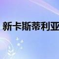 新卡斯蒂利亚省（关于新卡斯蒂利亚省简介）