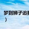 梦到狮子追我什么预兆（梦到狮子追我的意思）