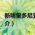 新喀里多尼亚环礁（关于新喀里多尼亚环礁简介）