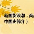 新国货浪潮：商战里的中国史（关于新国货浪潮：商战里的中国史简介）