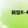 新型B-4鸡（关于新型B-4鸡简介）