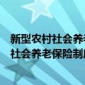 新型农村社会养老保险制度的可持续性评估（关于新型农村社会养老保险制度的可持续性评估简介）