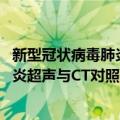 新型冠状病毒肺炎超声与CT对照图谱（关于新型冠状病毒肺炎超声与CT对照图谱简介）