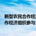 新型农民合作经济组织参与乡村治理研究（关于新型农民合作经济组织参与乡村治理研究简介）