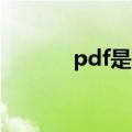 pdf是什么文件（PDF是什么）