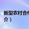 新型农村合作医疗（关于新型农村合作医疗简介）