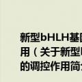 新型bHLH基因Nulp1和Pygo在心脏早期发育中的调控作用（关于新型bHLH基因Nulp1和Pygo在心脏早期发育中的调控作用简介）