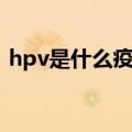 hpv是什么疫苗多少钱（打hpv疫苗多少钱）