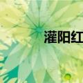 灌阳红枣（关于灌阳红枣介绍）