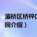 灞桥区桥梓口幼儿园（关于灞桥区桥梓口幼儿园介绍）