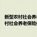 新型农村社会养老保险信息系统建设指导意见（关于新型农村社会养老保险信息系统建设指导意见简介）