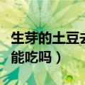 生芽的土豆去掉芽到底能不能吃（生芽的土豆能吃吗）