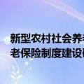 新型农村社会养老保险制度建设研究（关于新型农村社会养老保险制度建设研究简介）