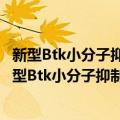 新型Btk小分子抑制剂抗B细胞淋巴瘤作用机制研究（关于新型Btk小分子抑制剂抗B细胞淋巴瘤作用机制研究简介）