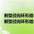 新型径向环形组合密封增效减振理论与关键技术研究（关于新型径向环形组合密封增效减振理论与关键技术研究简介）