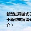 新型磁调谐光子晶体光纤光栅功能器件及传感技术研究（关于新型磁调谐光子晶体光纤光栅功能器件及传感技术研究简介）