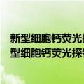 新型细胞钙荧光探针的合成及钙信号转导作用研究（关于新型细胞钙荧光探针的合成及钙信号转导作用研究简介）