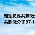 新型负性共刺激分子B7-H4与胰腺癌的研究（关于新型负性共刺激分子B7-H4与胰腺癌的研究简介）