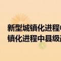 新型城镇化进程中县级政府债务风险防控研究（关于新型城镇化进程中县级政府债务风险防控研究简介）