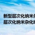 新型层次化纳米杂化结构的DNA自组装纳米制造（关于新型层次化纳米杂化结构的DNA自组装纳米制造简介）