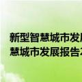 新型智慧城市发展报告2015—2016 上、下卷（关于新型智慧城市发展报告2015—2016 上、下卷简介）