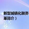 新型城镇化融资与金融改革（关于新型城镇化融资与金融改革简介）