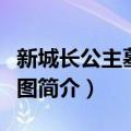 新城长公主墓侍女图（关于新城长公主墓侍女图简介）