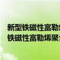 新型铁磁性富勒烯聚合物的制备和磁性机制研究（关于新型铁磁性富勒烯聚合物的制备和磁性机制研究简介）