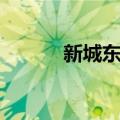 新城东站（关于新城东站简介）