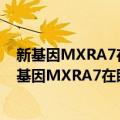 新基因MXRA7在眼发育及视觉系统中的功能研究（关于新基因MXRA7在眼发育及视觉系统中的功能研究简介）