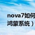 nova7如何升级鸿蒙系统（nova7怎样升级鸿蒙系统）