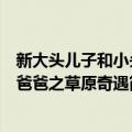 新大头儿子和小头爸爸之草原奇遇（关于新大头儿子和小头爸爸之草原奇遇简介）