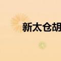 新太仓胡同（关于新太仓胡同简介）