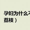 孕妇为什么不能吃荔枝（孕妇为什么不可以吃荔枝）