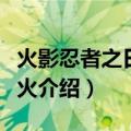 火影忍者之日向花火（关于火影忍者之日向花火介绍）