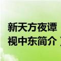 新天方夜谭：窥视中东（关于新天方夜谭：窥视中东简介）