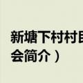 新塘下村村民委员会（关于新塘下村村民委员会简介）