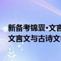 新备考锦囊·文言文与古诗文中考一本通（关于新备考锦囊·文言文与古诗文中考一本通简介）