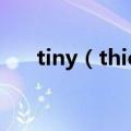 tiny（thief攻略 tiny thie详细f攻略）