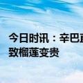 今日时讯：辛巴直播卖榴莲引起榴莲涨价 官方辟谣辛巴带货致榴莲变贵