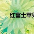 红富士苹果产地在哪里（快来看看吧）