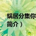 蜗居分集你剧情简介（蜗居1到3集分集剧情简介）