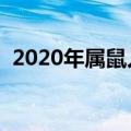 2020年属鼠人的全年运势（两点为你解答）