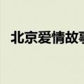 北京爱情故事演员表（北京爱情故事介绍）