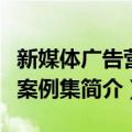 新媒体广告营销案例集（关于新媒体广告营销案例集简介）