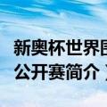 新奥杯世界围棋公开赛（关于新奥杯世界围棋公开赛简介）