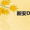 新安DM（关于新安DM简介）