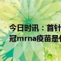 今日时讯：首针我国首个mRNA新冠疫苗在石家庄开打 新冠mrna疫苗是什么意思