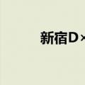 新宿D×D（关于新宿D×D简介）